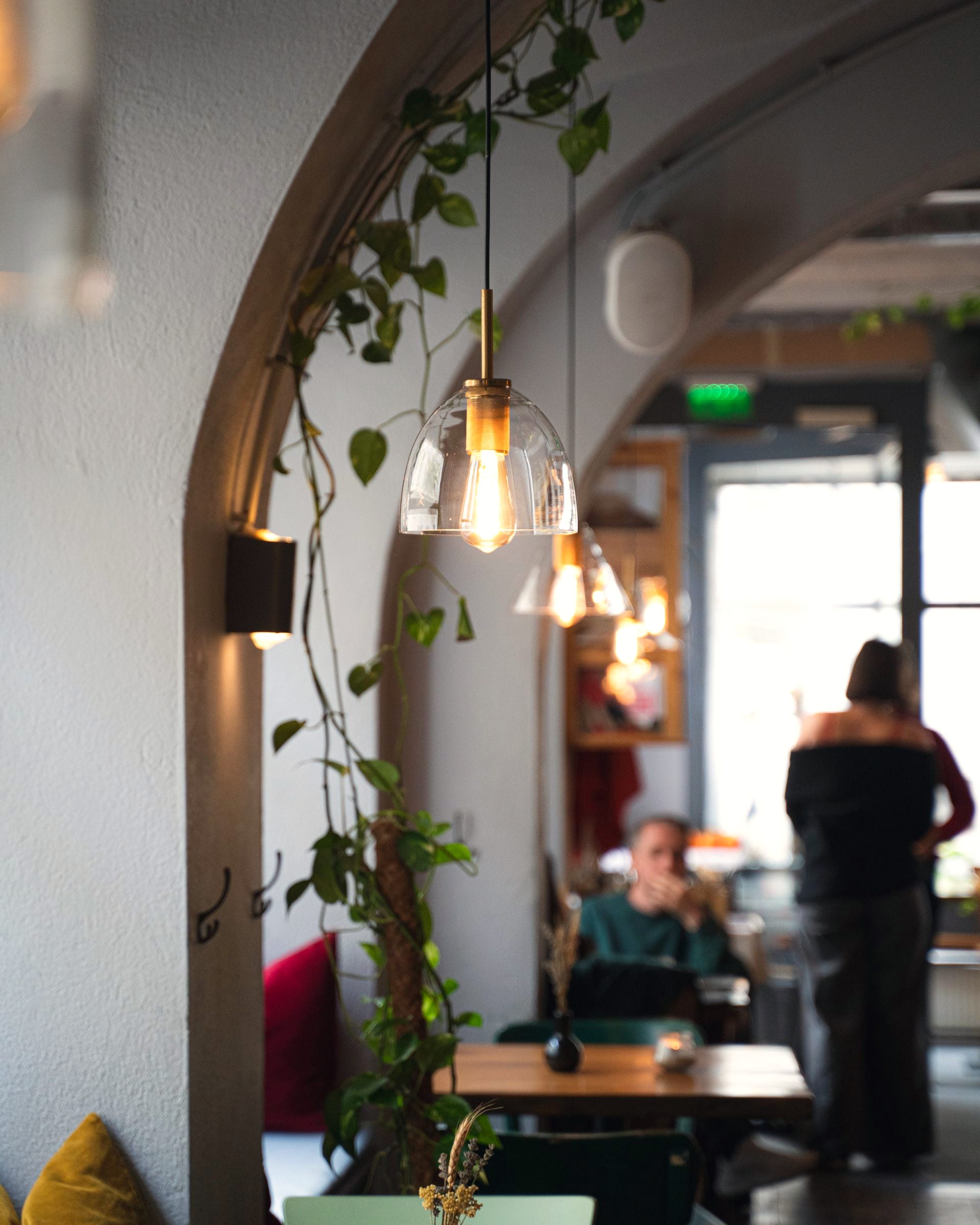 Café 1070 dining-room archway in Burggasse 68 with pothos and warm afternoon light